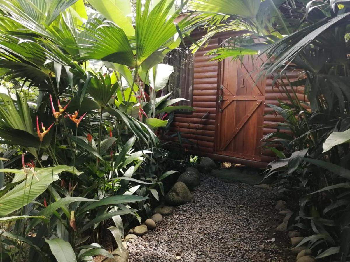 Arenal Rustic Lodge Alajuela Esterno foto
