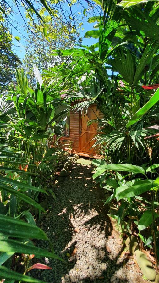 Arenal Rustic Lodge Alajuela Esterno foto