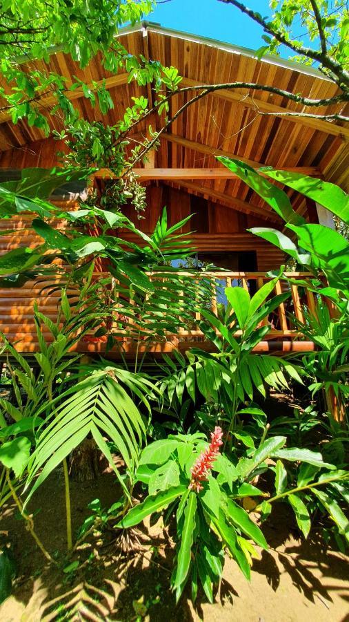 Arenal Rustic Lodge Alajuela Esterno foto